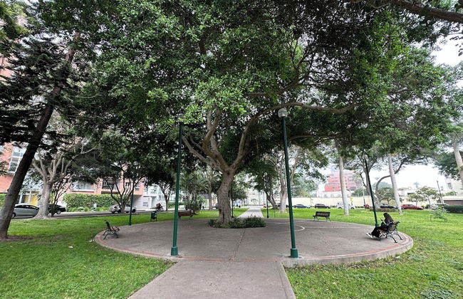 Executive Apartment 1Bedroom San Isidro - Foto 38