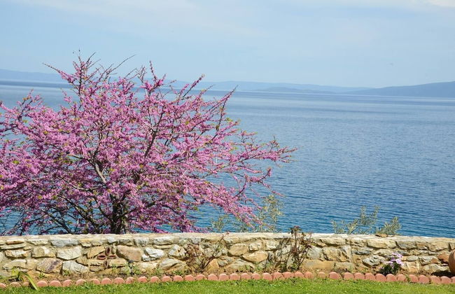 Athena Charming apt with stunning view - Foto 39