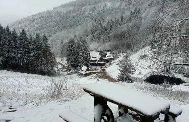 Apartament Mountains Góry Sowie - Foto 45