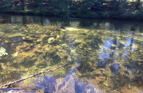 Casa do Avô - Foto 60