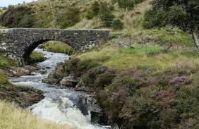 299 Willow Lodge - Foto 51