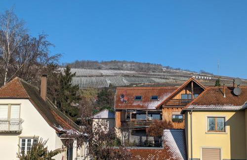 Le Cosy Bus 230 direct Marché de Noël 20min - Foto 6