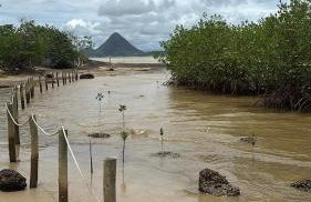 Simple life - Foto 18