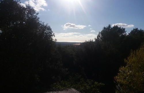 Ses Alzines Apartamento integrado en Casa Rural Habitada - Foto 9