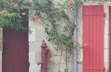 La Moyendrie - Foto 36