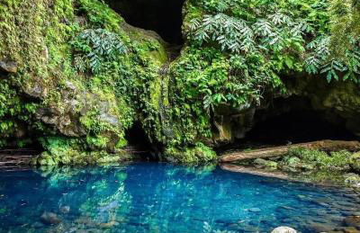 Green Sunrise House - Photo 73