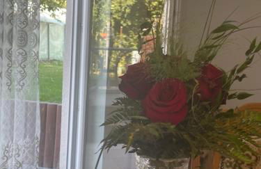 Ferienwohnung Mayer - Foto 14