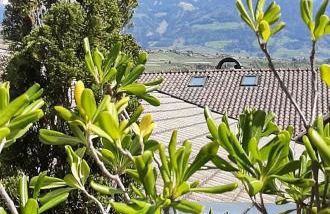 LAnJA ihr besonderes Urlaubszuhause - Foto 22