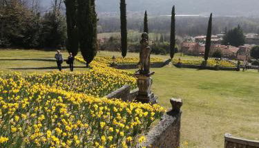 Bellavista - Photo 4