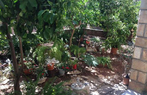 Villa Marga - Foto 28