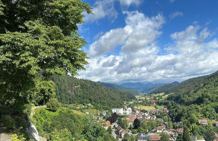 Lopezan home and living - Photo 20