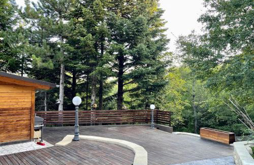 Chalet Leonard House in the wood - Foto 30