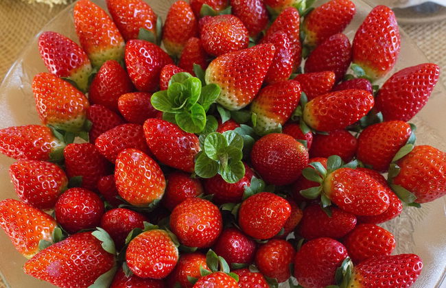 Agroturisme Son Vives - Adults Only - Foto 68