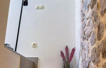 Lavanda - Photo 19