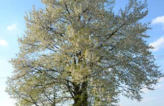 Na końcu świata - Foto 57