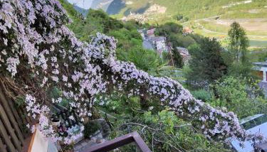 In Cima alla Contrada-Dolomiti & Lake View - Foto 4
