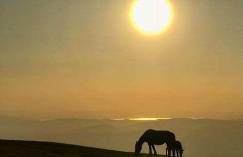 La Casa dell'Abate di Collepino - Spello - Foto 26