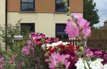 Willow Mews - Foto 1