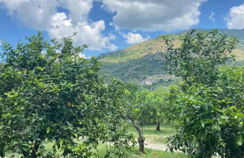 Casa Marietta - Foto 34