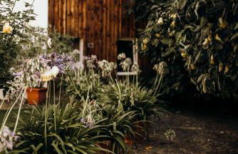 Klosterhof Weingut BoudierKoeller - Foto 22