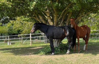 Rural Lake View in Welford upon Avon - Foto 49