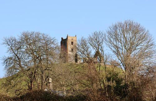 Tranquil and cosy cottage on the Somerset Levels - Photo 49