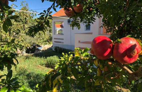 Schöne Ferienwohnung mit Terrasse, Roses - Photo 33