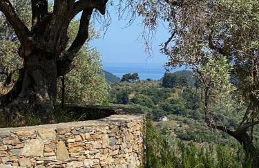 Laas Daskios, Stone Country House, Skopelos Anania - Foto 17