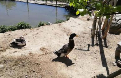 My Portugal for All - Lousada Villa - Foto 65