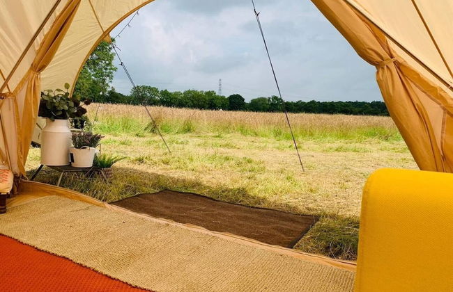 Private Glamping in a Vintage Caravan & Bell Tent - Foto 12