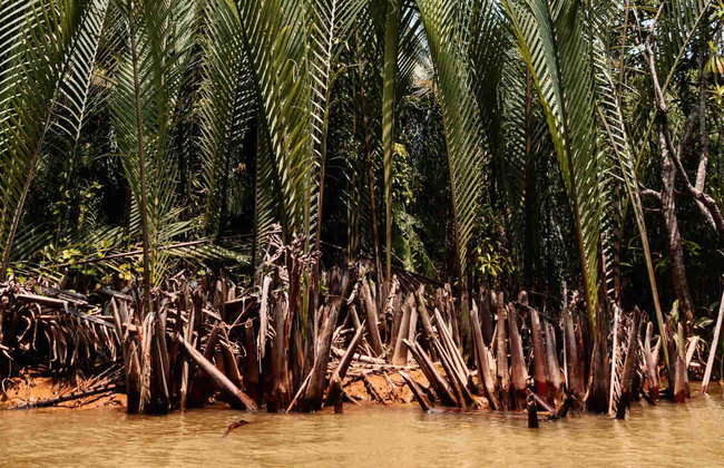Circuito de 5 días por el sur de Vietnam - Foto 2