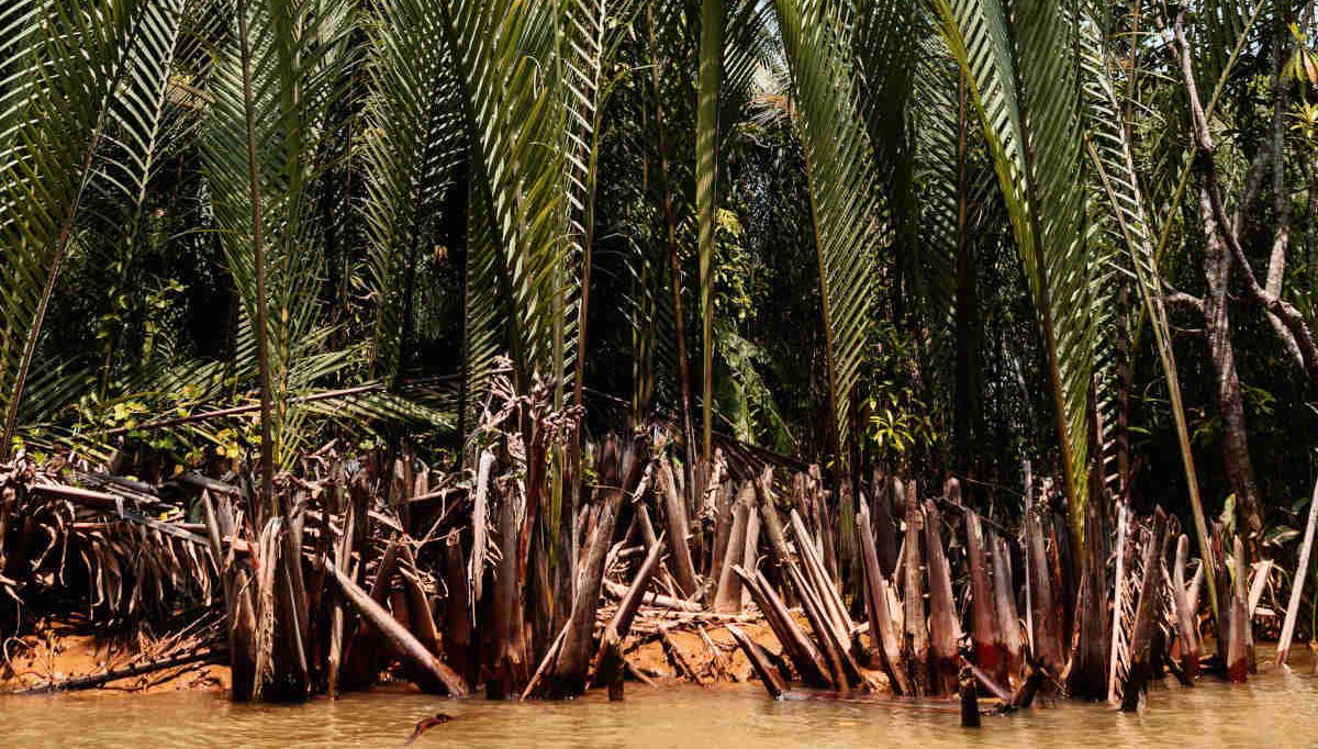 South Vietnam 5 Day Tour - Foto 2