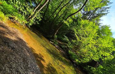Ferienwohnungen Dorfliebe Dörnberg - Foto 56