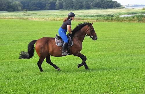 Gustow Garden Retreat - Foto 68