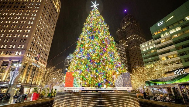 Downtown Detroit Holiday Donut & Pastry - Photo 5