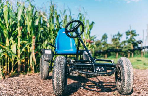 Gut Hügle Jugendzimmer - Foto 35