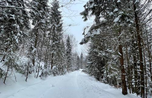 Apartamenty Carpe Diem - Photo 68