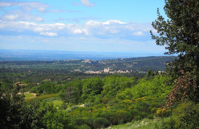 Bedoin Garden Home With Views - Photo 24