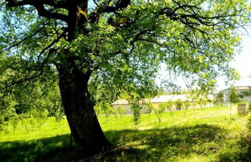 Agreste Agriturismo - Foto 39