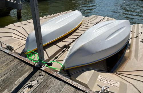 Owl Hoot Lake Retreat- Dock, beach & wooded haven! - Foto 16