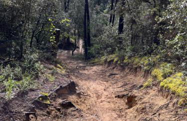 Villa les Tonnelles 1 à 800m de la plage et 500m de la forêt - Foto 24