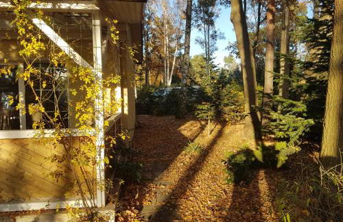 Gemutlicher Ferienbungalow am Felsensee bei Pretzien - Foto 6