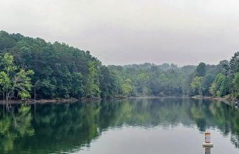 Lakeland Way - Foto 28