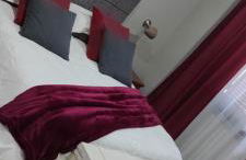 Cactus house - Foto 18