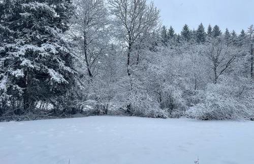 Ferienwohnung Lenzen - Photo 7