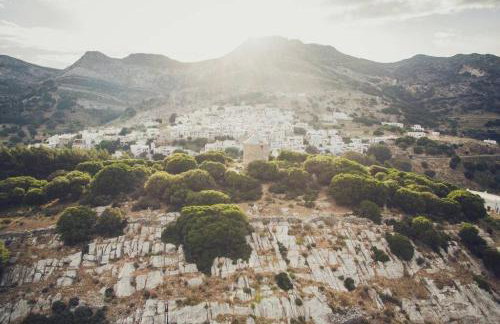 Traditional Inn Pirethron - Foto 63