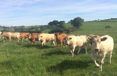 Drumsallagh View - Foto 32