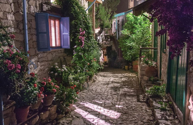 Lania Royal Oak House by TrulyCyprus - Foto 19