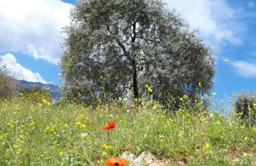 Casa O' - Moderne Villa mit großer Terrasse und privatem Swimmingpool - Photo 43