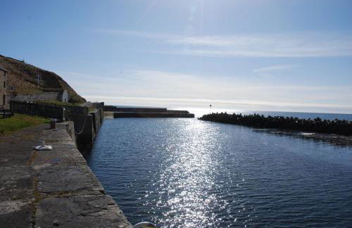 Faodail 'a lucky find' - Foto 38